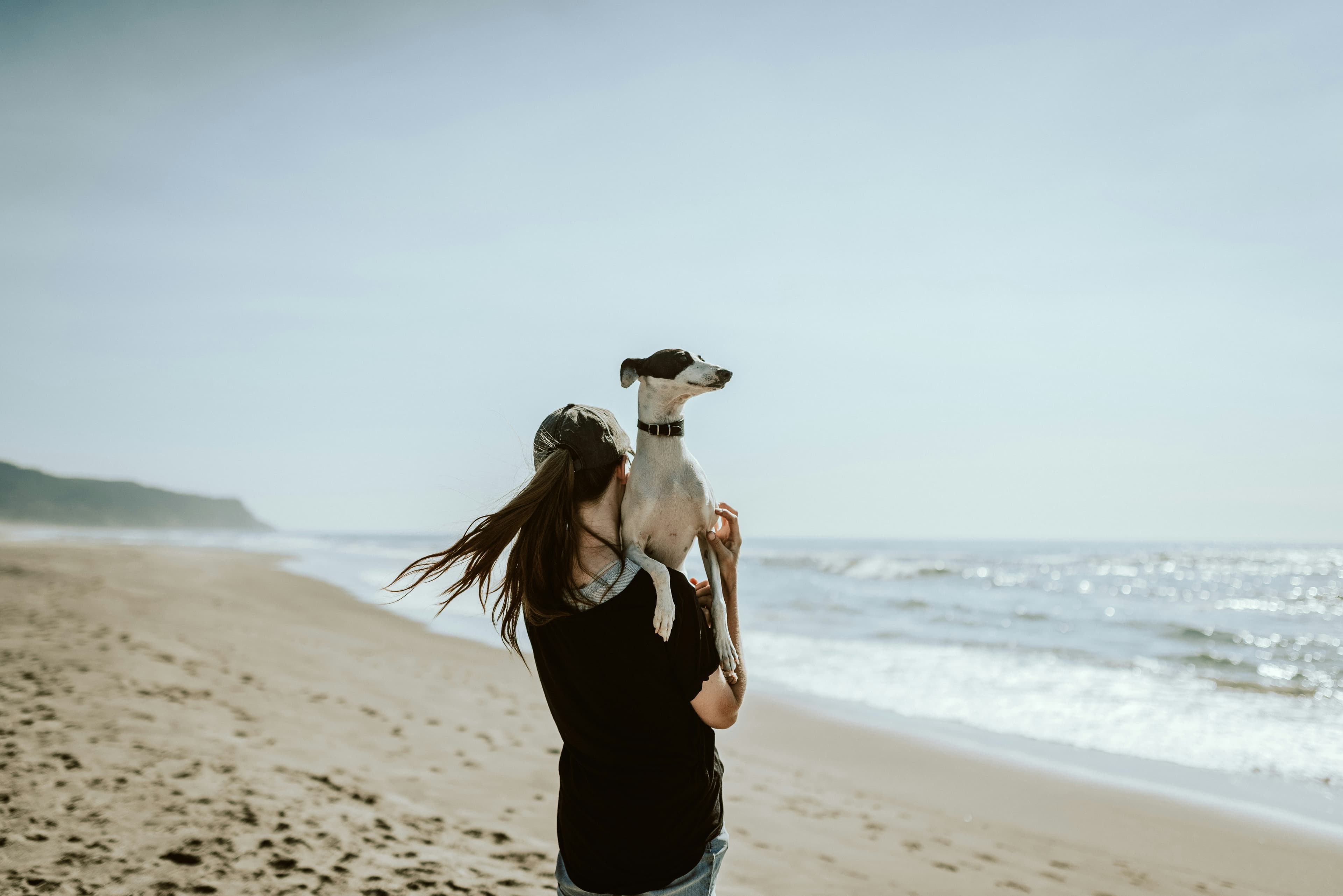 Person holding a dog on a sunny beach
